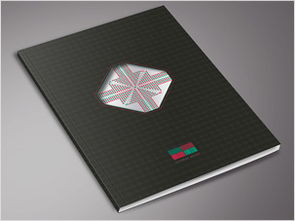 西风东韵 北京海兰信数据记录科技公司产品折页与宣传彩页设计